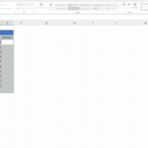 Excel