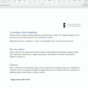 MS Word