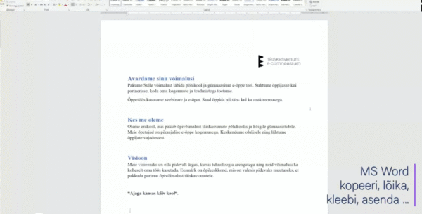 MS Word