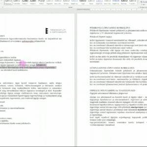 MS Word