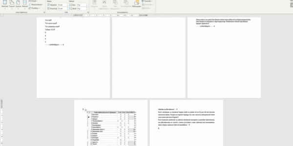 MS Word
