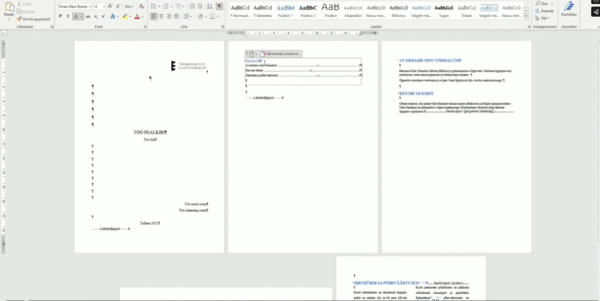 MS Word